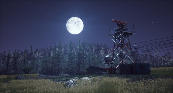 WINDSTORM the game, an image depicting a beautiful moonlit night.